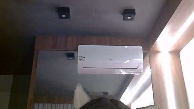 SkinnyKitten webcam