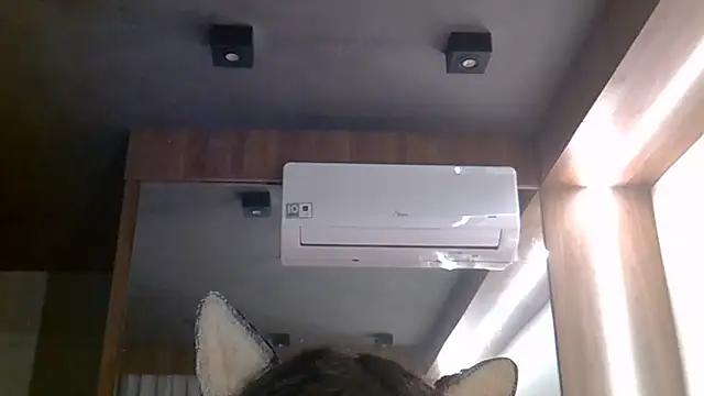 SkinnyKitten live cam