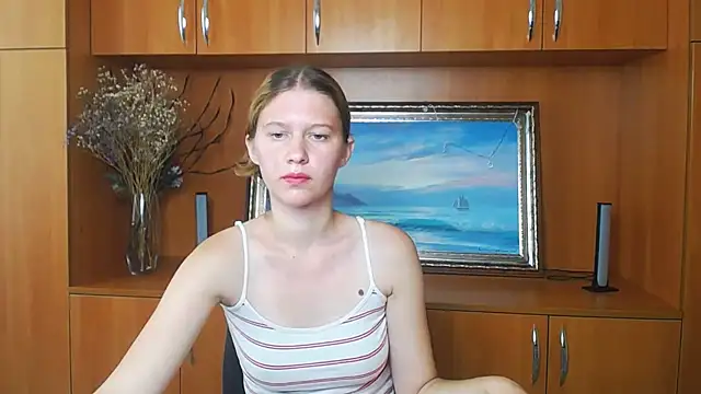 StellaCRL webcam