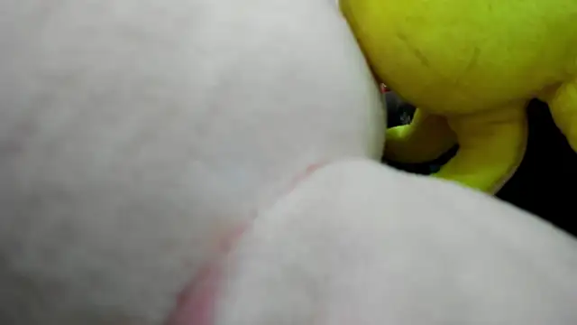 ErlinaBuoy webcam