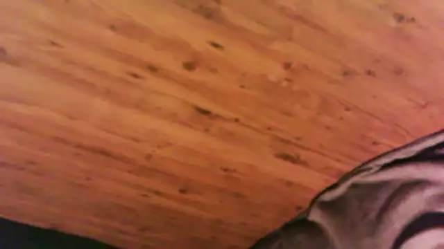0815lukas2024 webcam