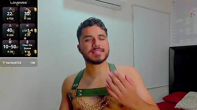 Philip_Reid_ webcam