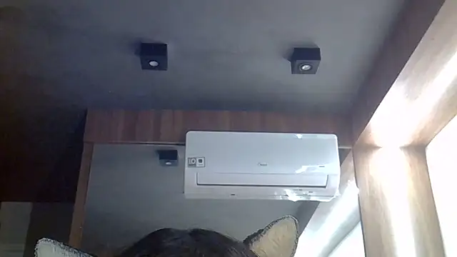 SkinnyKitten webcam
