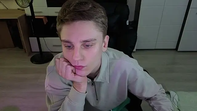 pvlpstvy webcam