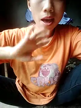 phlin1 webcam
