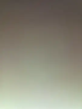 piggylatino webcam