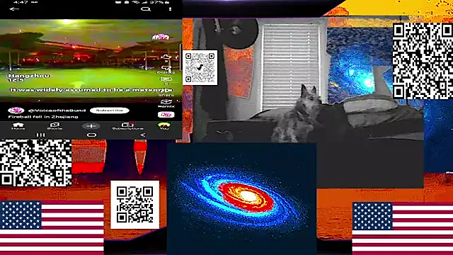 RussellTaylorLacy webcam