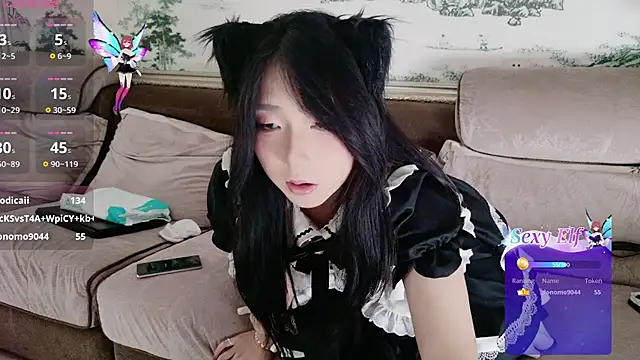 qiao-520 webcam