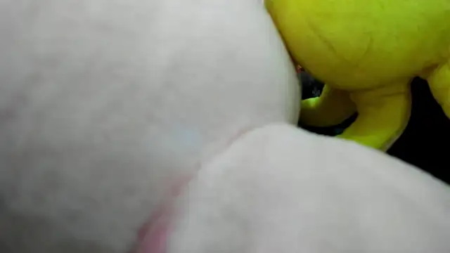 ErlinaBuoy webcam