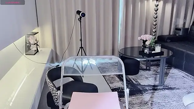 lvy-w webcam