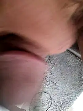 Picepongulica webcam
