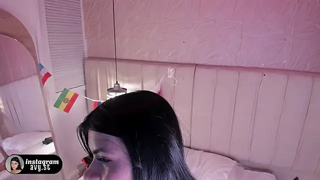 avy_st webcam