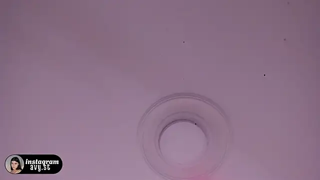 avy_st webcam