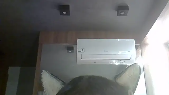 SkinnyKitten webcam