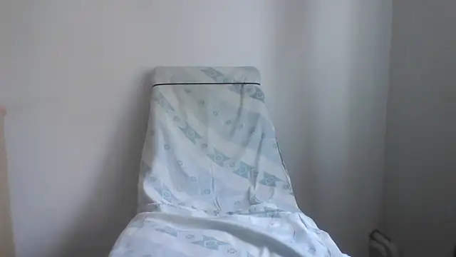 fl3xxx1 webcam