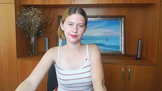 StellaCRL webcam