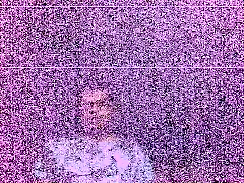 elturcudito webcam