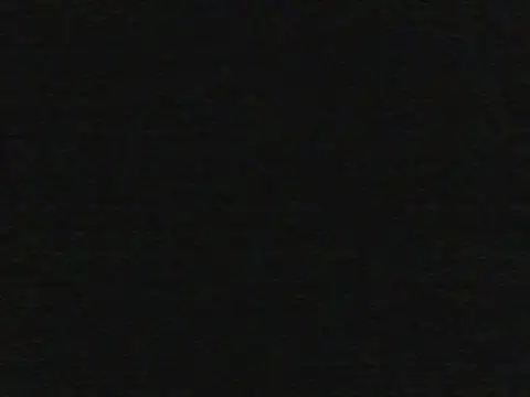 shugabaibe webcam