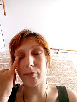 Ponka2011 webcam