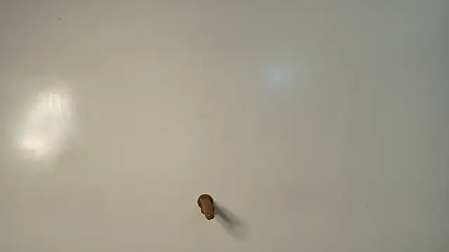 Coco_Bunnie webcam