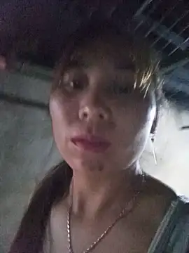 Chery99X webcam
