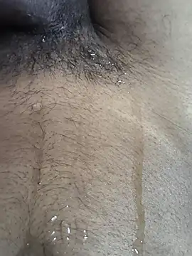 hamster824 webcam