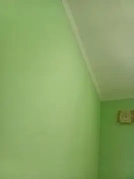 Robertvirt webcam