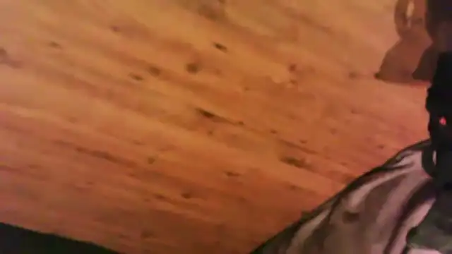 0815lukas2024 webcam