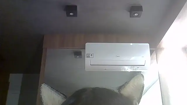 SkinnyKitten live cam on StripChat