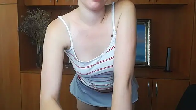 StellaCRL webcam