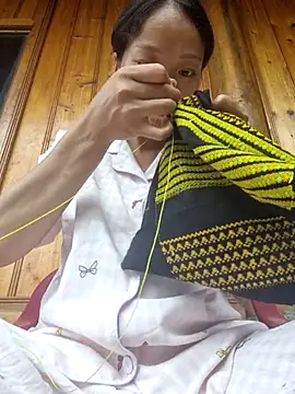 Siva_ane webcam