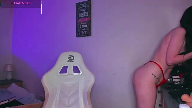 EvaFever webcam