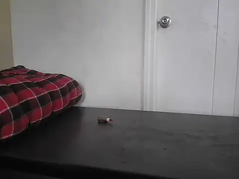 fitbuddy1 webcam