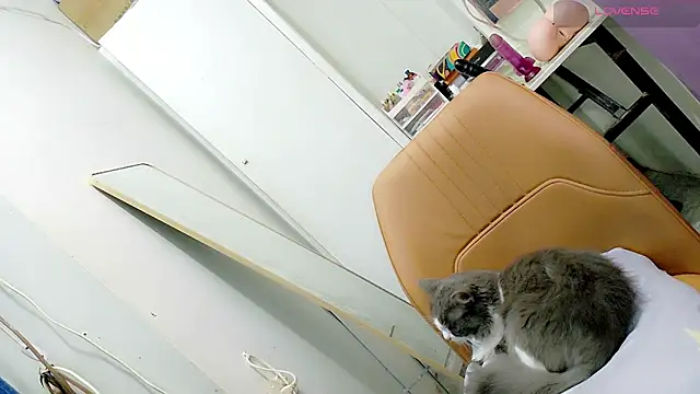 tgirljennie_69 webcam