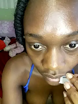 Paulahaze webcam