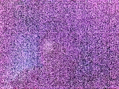 elturcudito webcam