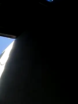 DigCrok webcam