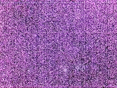 elturcudito webcam