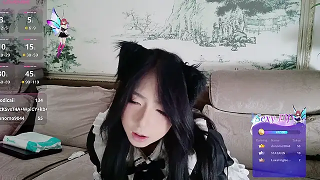 qiao-520 webcam