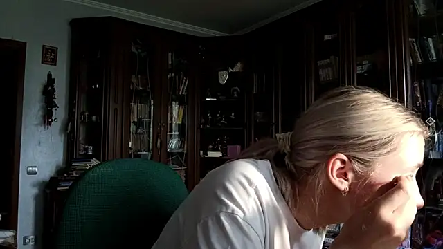 KellyOutdoor webcam