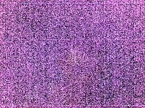elturcudito webcam