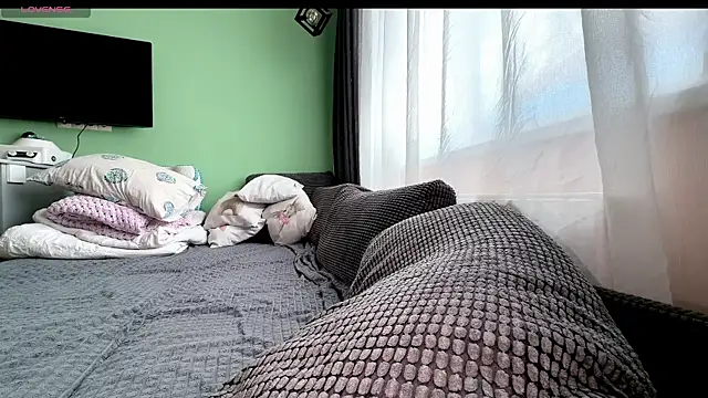 MyPhoenix webcam