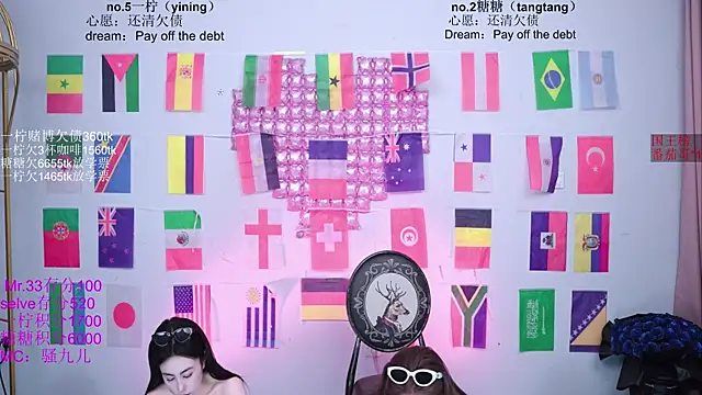 CCTW-100 webcam