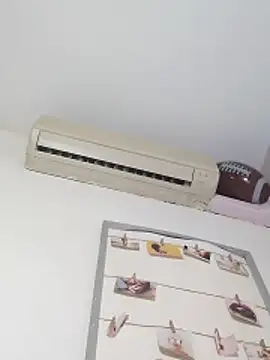 Molly_newman6 webcam