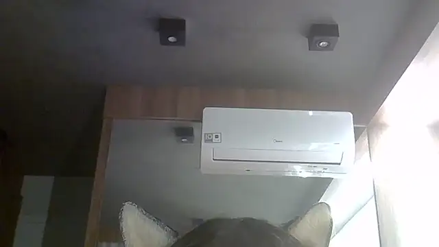 SkinnyKitten webcam