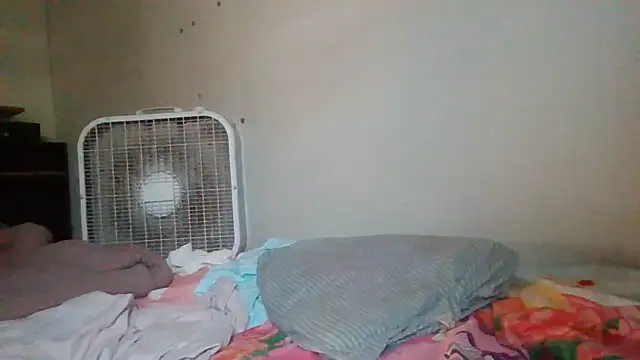 starlight1983 webcam