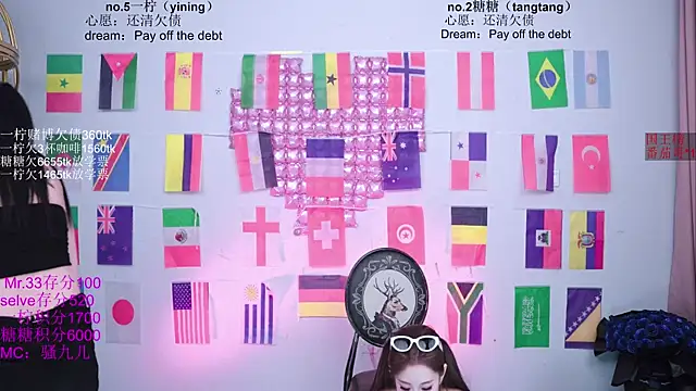 CCTW-100 webcam