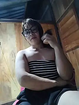 Biva11 webcam