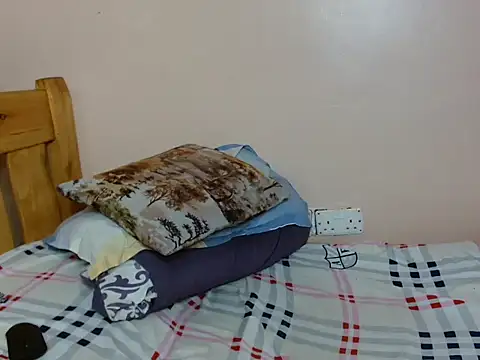 luzrem webcam