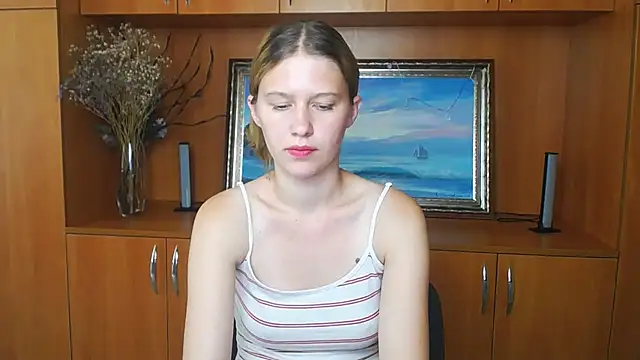 StellaCRL webcam